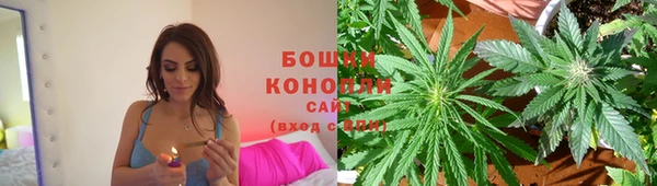 прущие крисы Армянск