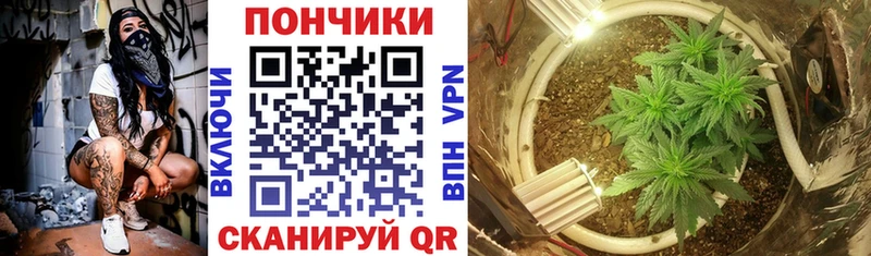Шишки марихуана конопля  hydra маркетплейс  Славск 